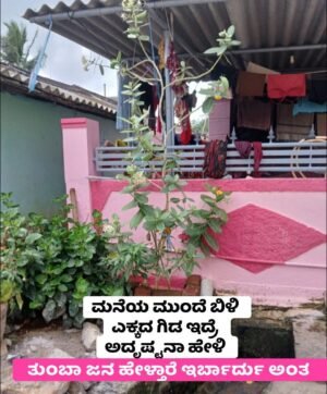 IMG 20250928 WA0000