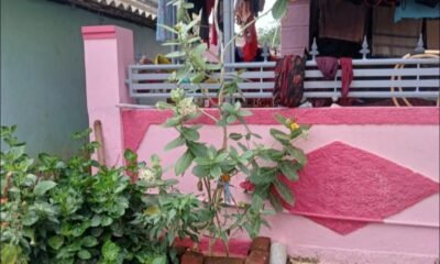 IMG 20250928 WA0000