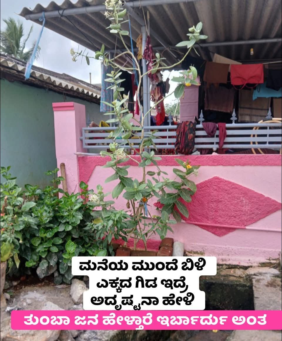 IMG 20250928 WA0000