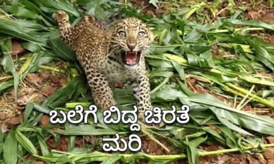 dvg channagiri