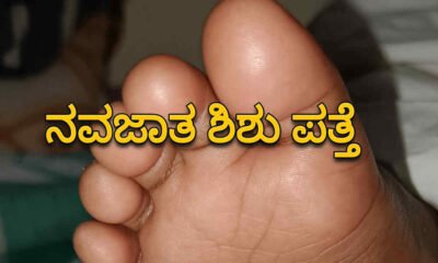 dvg news