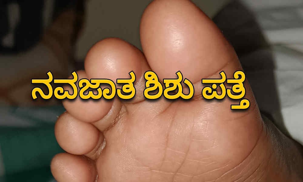 dvg news