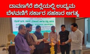 davangere industrial