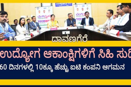 davangere IT BT company