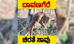 Leopard is dead davangere