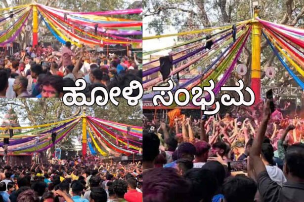 davangere holi festival