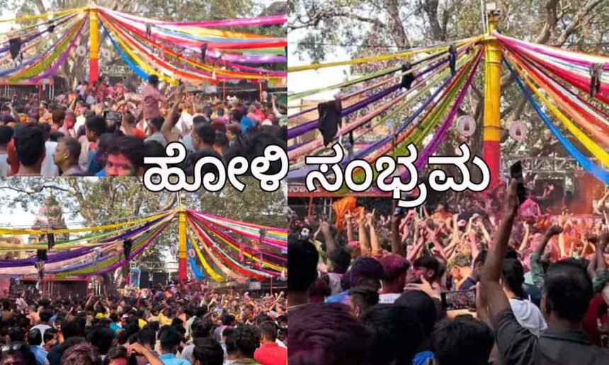 davangere holi festival