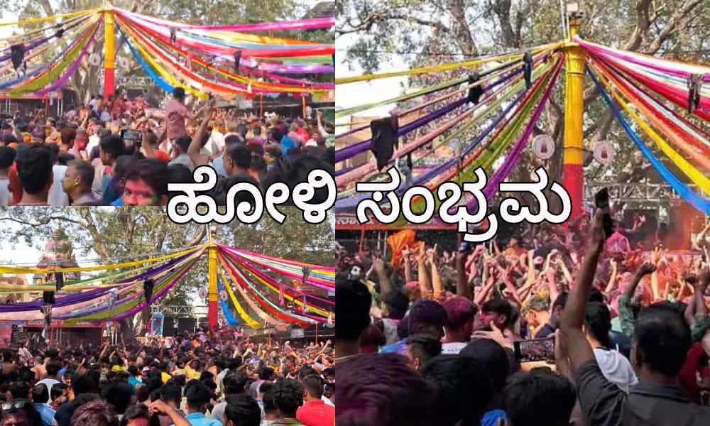 davangere holi festival