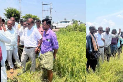 davangere farmer