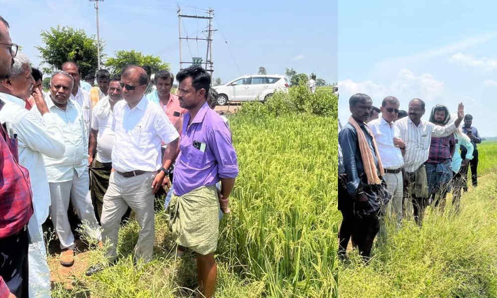 davangere farmer