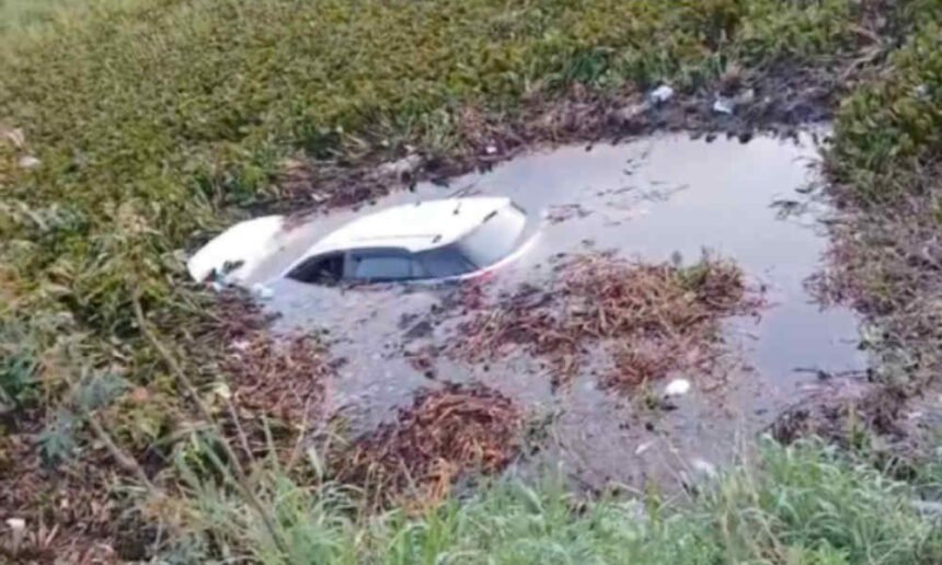 dvg car accident