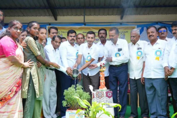 davangere basapura school