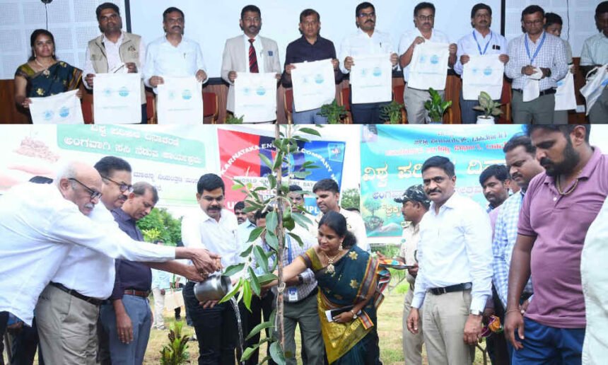 davangere envernament